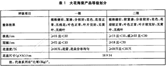 花坛|花花的世界，你可知道谁是谁？