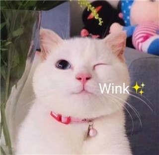 扫地机器人好用吗？是否选对是关键