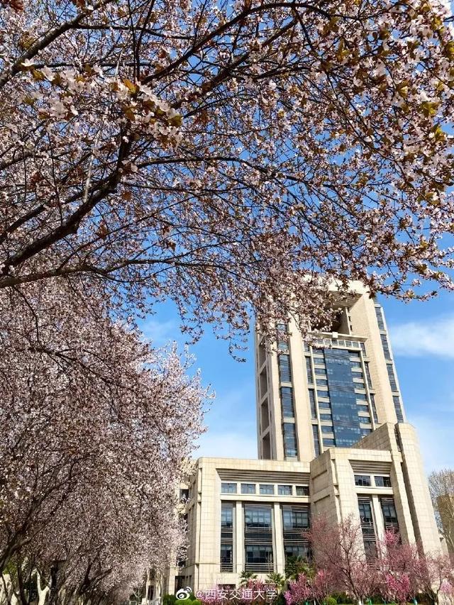 「旅行百事通」实名曝光西安这几个地方的春天，太美了…