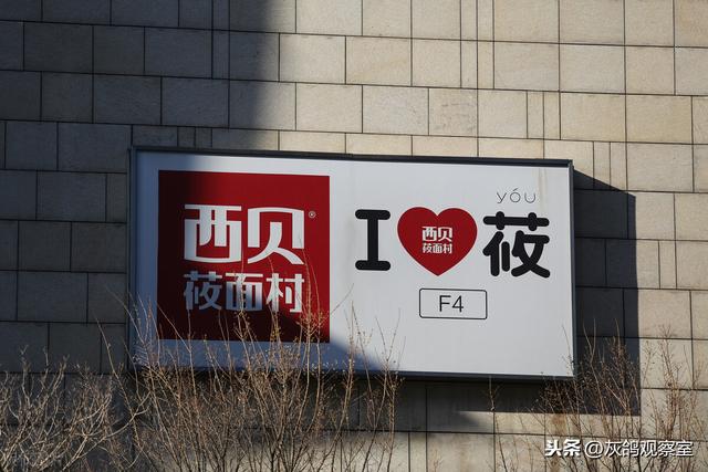 内蒙亿万富豪的魔幻生意，一个馒头卖16块，吃的人却排成排