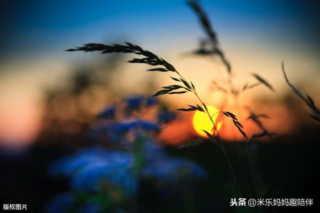 [你的育儿经]孩子犯错，面壁思过三小时？正向引导比负向惩罚效果好得多