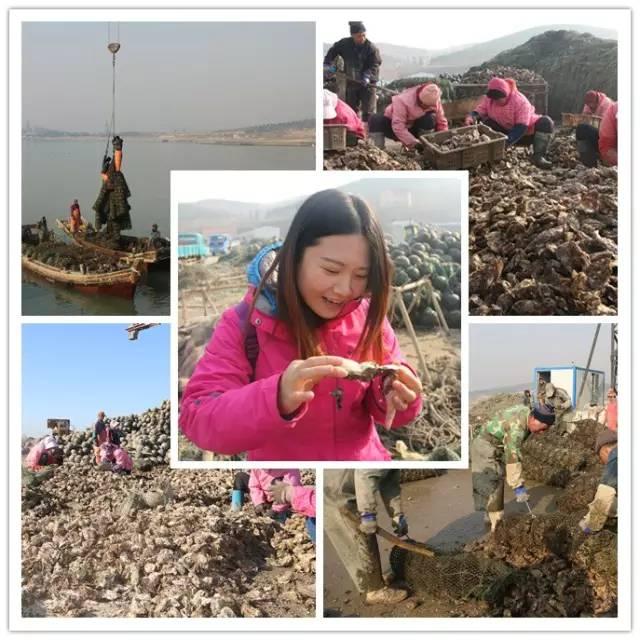 吃货们！100秒带你了解乳山牡蛎