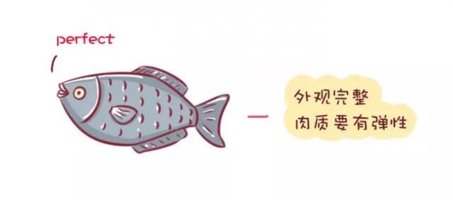 你的育儿经|不是所有的鱼吃了都能让宝宝变聪明，这几种鱼是黑名单，你知道吗