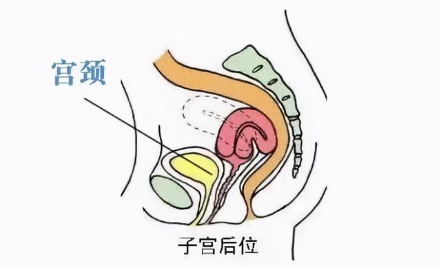 姨妈来了，这个动作千万不能做