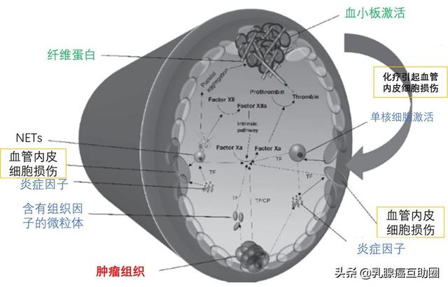 这个引起癌症并发症的元凶，你不得不妨