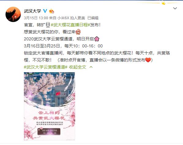 [太平洋电脑网]在家也能赏武大樱花淘宝/微博连播10天