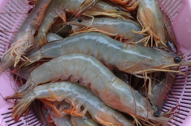 鲜虾，我家从不用水煮，大厨教我一招，虾肉鲜香醇厚，营养不流失