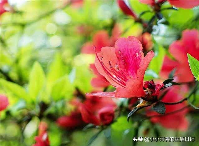 你的育儿经■辛苦备孕无果？先看看这5点建议！
