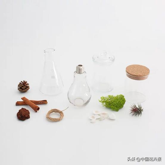 你的育儿经|植物DIY，让孩子们拥有一块自己的园地