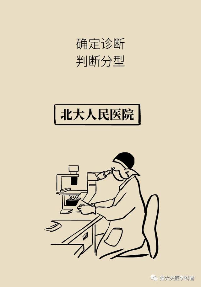 乳腺癌复发、转移了怎么办？