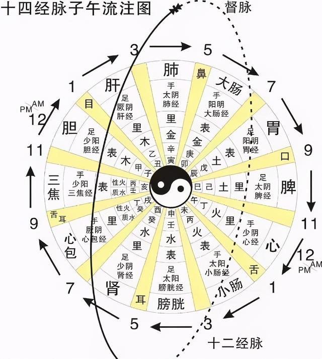 人衰老的过程就是经络逐渐堵塞的过程