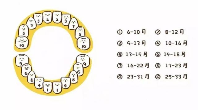 宝宝长牙前三方面有预兆，在这一时间段出牙都正常，附出牙顺序表