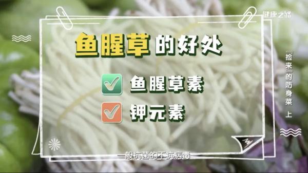 野菜|这些常见的野菜不仅能做美食，还能治病？赶紧收藏