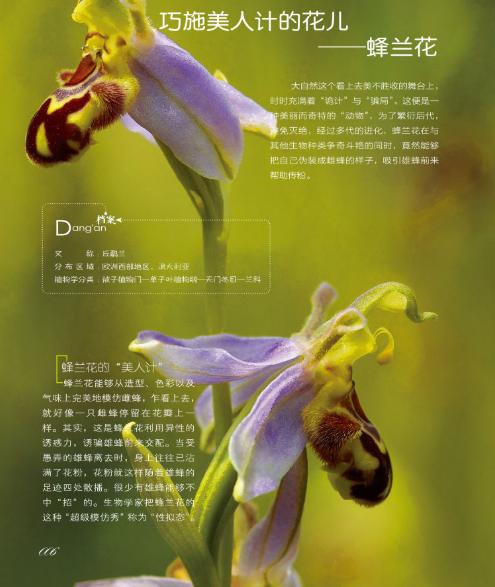 守护我家|好奇心，孩子探索世界的钥匙，家长做到这3点，满足孩子好奇心