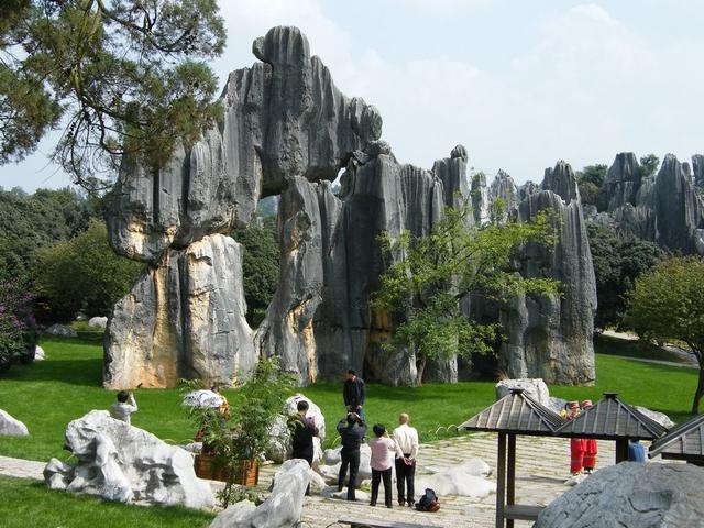 云南白酒哪个牌子更好？这5款只有云南人才懂，看看你喝过几种