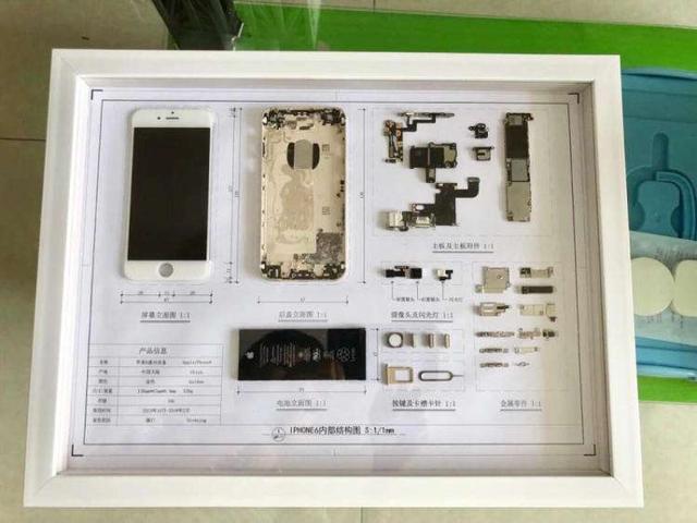 iPhone 4重出市场？其实是被做成了标本！再买就算艺术品