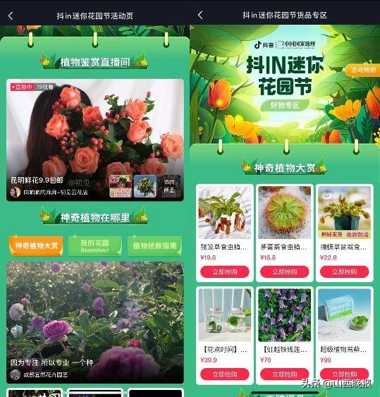 园艺|电商开启“抖in迷你花园节”，园艺达人直播分享神奇植物