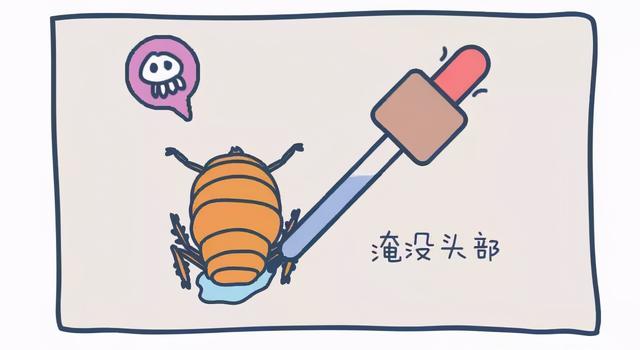 叮咬|刚刚！长春疾控发布重要提醒