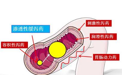 便秘|军医提醒：通便药物种类多，作用不同别吃错