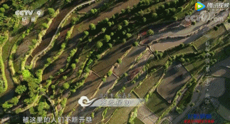 「文字上的青年」8部国产纪录片，让孩子深深认识到中国有多美！适合假期一起看