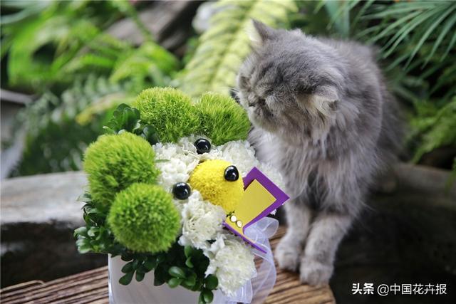 超级宝妈|儿童节在即,聊聊你所不知道的少儿花艺