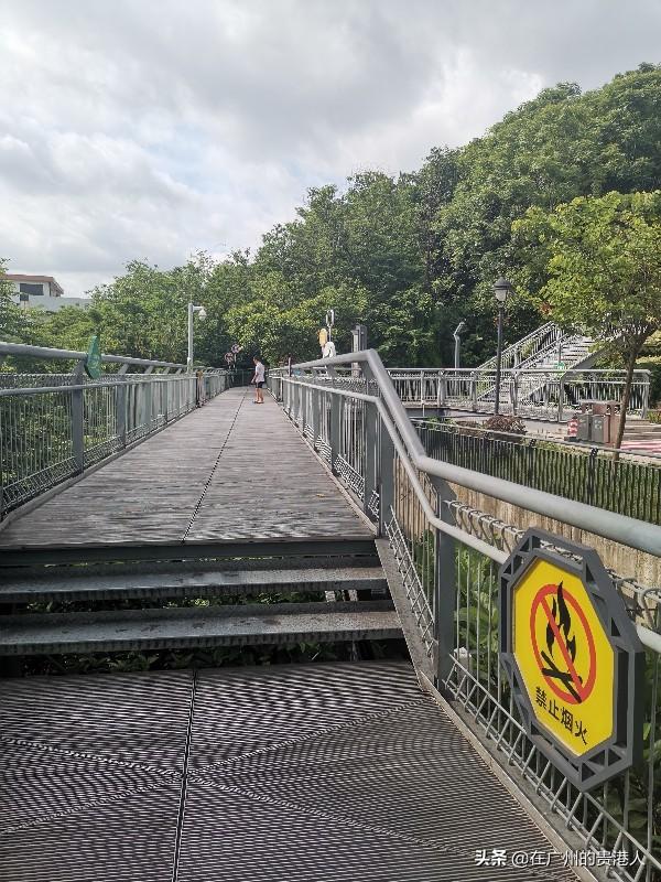 【山楂味的诗】走马观花,看顺德大良。