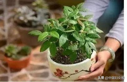 中国妇女报：特殊时期 特别家教 | 战“疫”动起来（四十一）