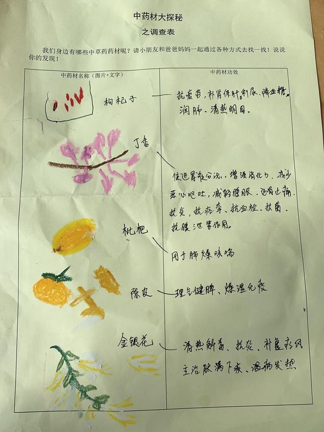 佛手|当孩子遇到佛手，会一场怎样的深秋邂逅？既是非同寻常的中医体验，更是传承着中华文化
