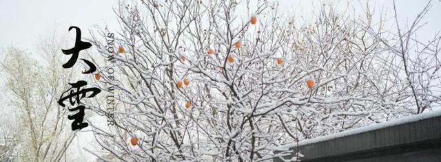 二十四节气 · 大雪 | 新品发布