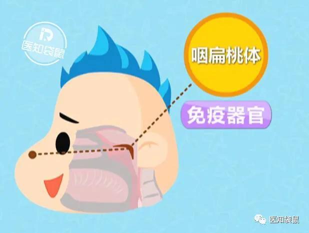 #超级宝妈#长期用嘴呼吸会变丑？宝宝有这些症状，家长要注意了