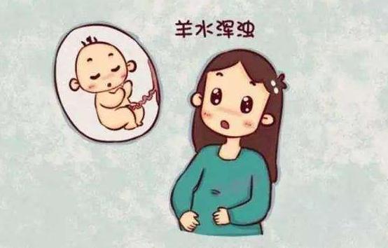 有趣的爱|羊水为啥叫“羊水”？孕妈孕期这样“喝”，羊水质量更好
