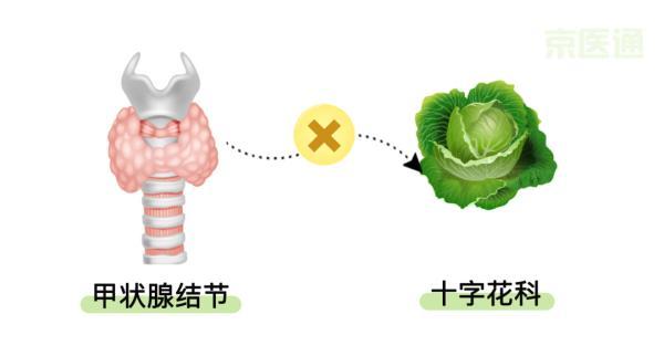 十字|「超级蔬菜」有多营养？肠道、血管、骨骼