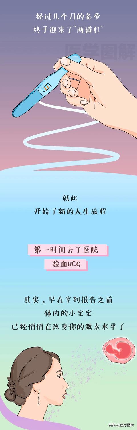 「超级宝妈」怀孕到生产的过程图,帮你猜透孕期女人心理(上篇)丨医学图解