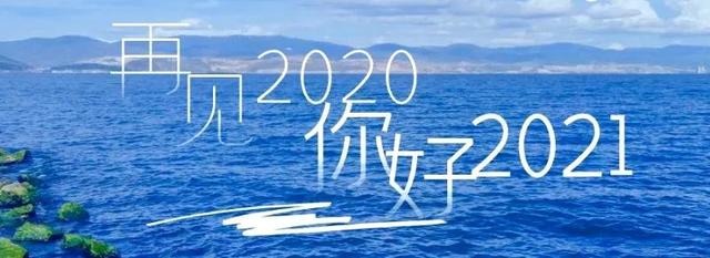 别了，2020