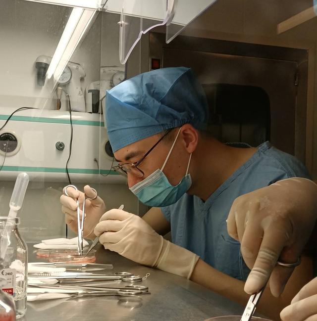 卵巢|西南首例！卵巢移植到腋窝 保护29岁宫颈癌患者生育心愿