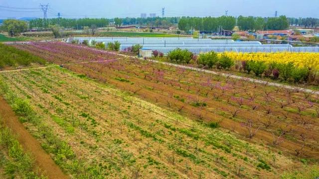 「旅行柚子君」云游通州 | 过把陶渊明的瘾!快节奏中的慢时光,城市里的世外桃源