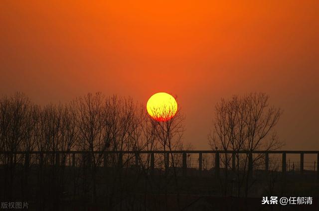 但得夕阳无限好，何须惆怅近黄昏