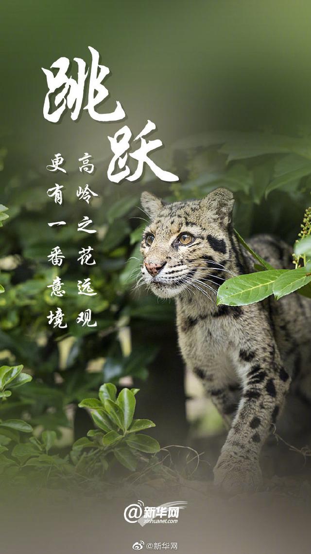 关爱环境 刻不容缓|光明网