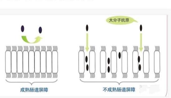 你的育儿经|?孩子湿疹反反复复，为什么治疗无效，越来越严重？关键点没找到