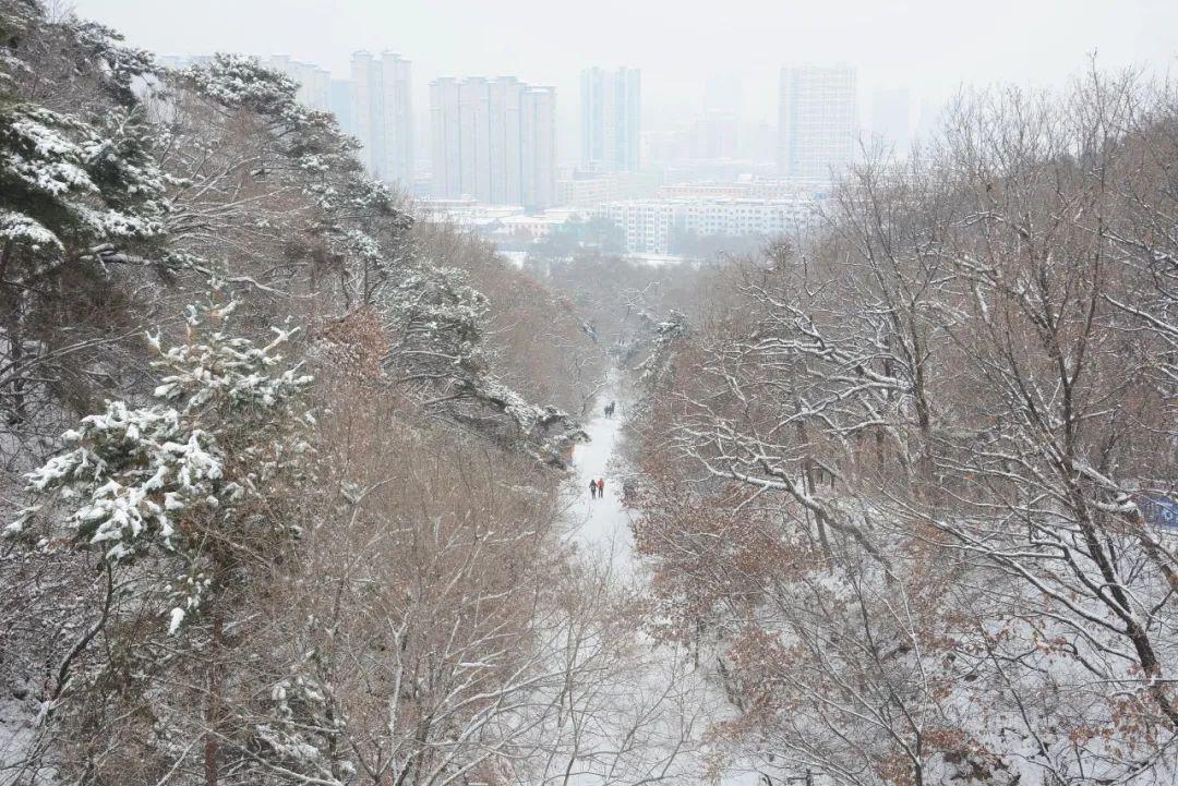 小雪|今日小雪，曼舞盼君来