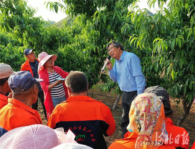 河北新闻网河北滦州:李保国科技志愿者服务队鸡冠山上传技术