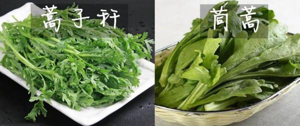 吃了这么多年，才知道茼蒿和蒿子秆居然是同一种菜？