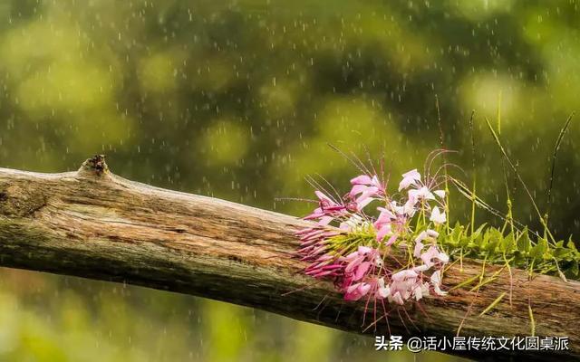 【你的育儿经】别闹!史豪驰这名字不是虚构,还有:强强强!