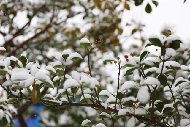 定格！雪中海大