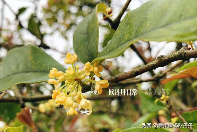 超级宝妈▲背诵就皱眉头？让孩子在玩中学习，学习中玩，轻松磨耳朵