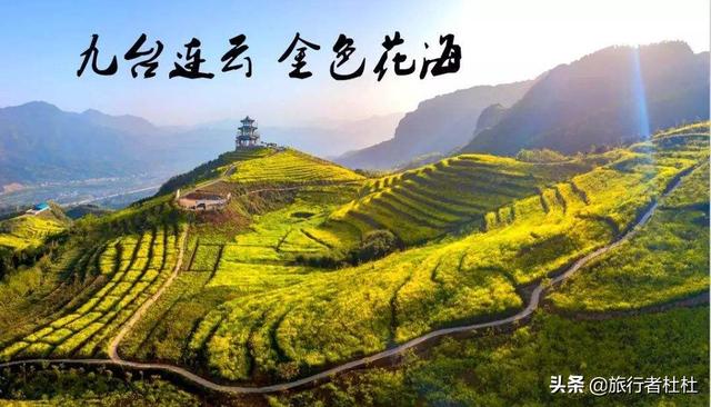 「约吗旅行」百万亩油菜花盛开，处处诗情画意，致最美的汉中油菜花