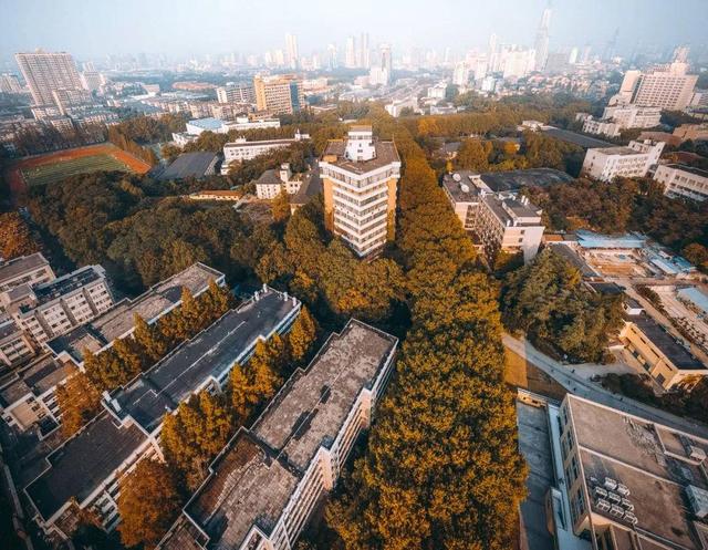 南京航空航天大学东大校园正处秋意最浓之时,不知不觉,冬,已翩翩而至.