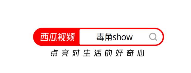 以物易物，一块石头能换来什么？能否得到你想要的？西瓜视频挑战