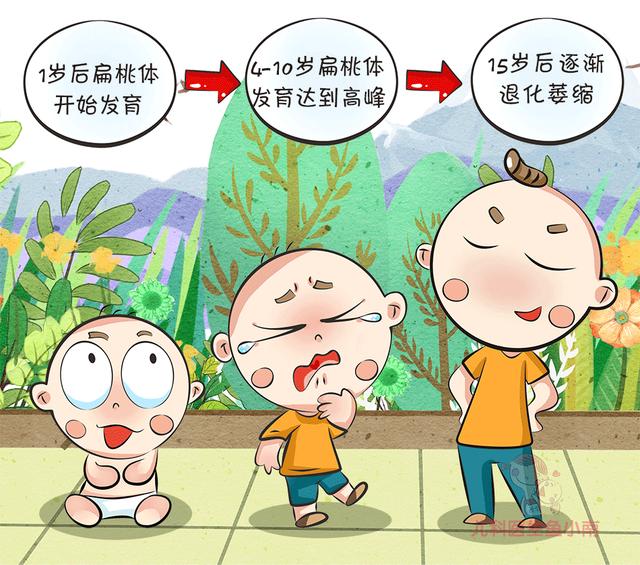 「你的育儿经」反复发作的儿童扁桃体炎让你崩溃？这样就能标本兼治少发作