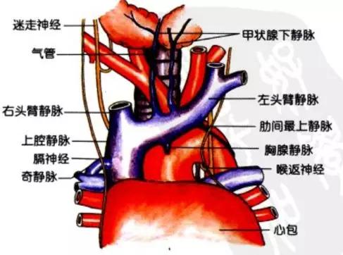 6种常见纵隔肿瘤的影像解读与鉴别要点，一文击破